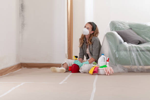 Reliable Mold Remediation contractor in Iselin, NJ by Car Mold Remediation